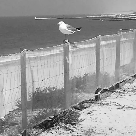 Apartmán Les Elfes *