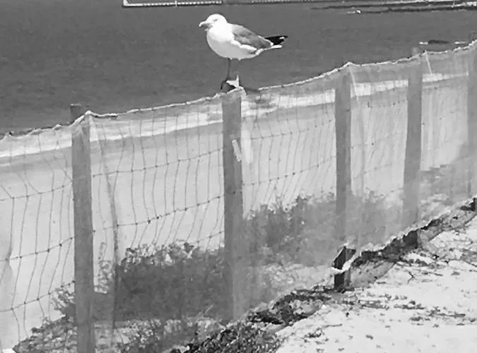 아파트 Les Elfes *